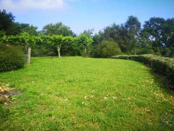 Jardín